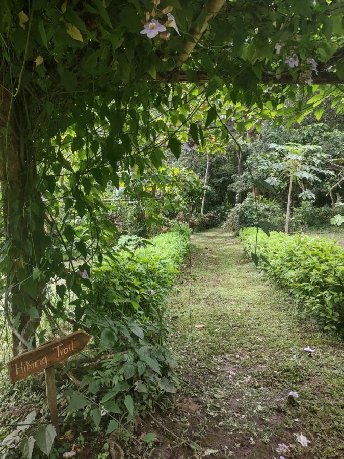 Finca Mystica Mérida Εξωτερικό φωτογραφία