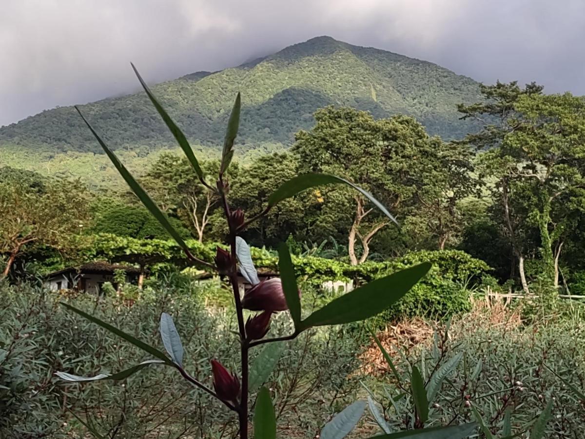 Finca Mystica Mérida Εξωτερικό φωτογραφία