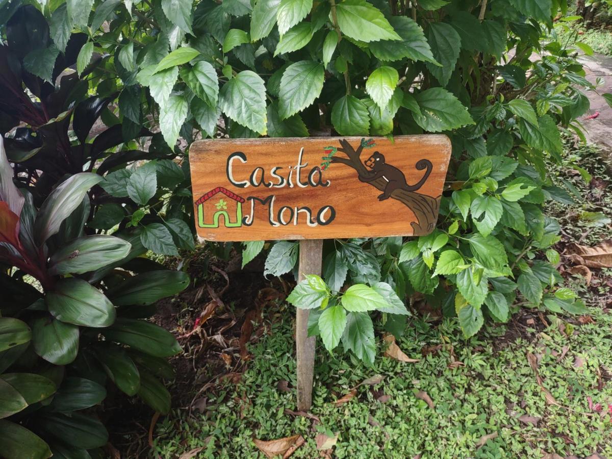Finca Mystica Mérida Εξωτερικό φωτογραφία