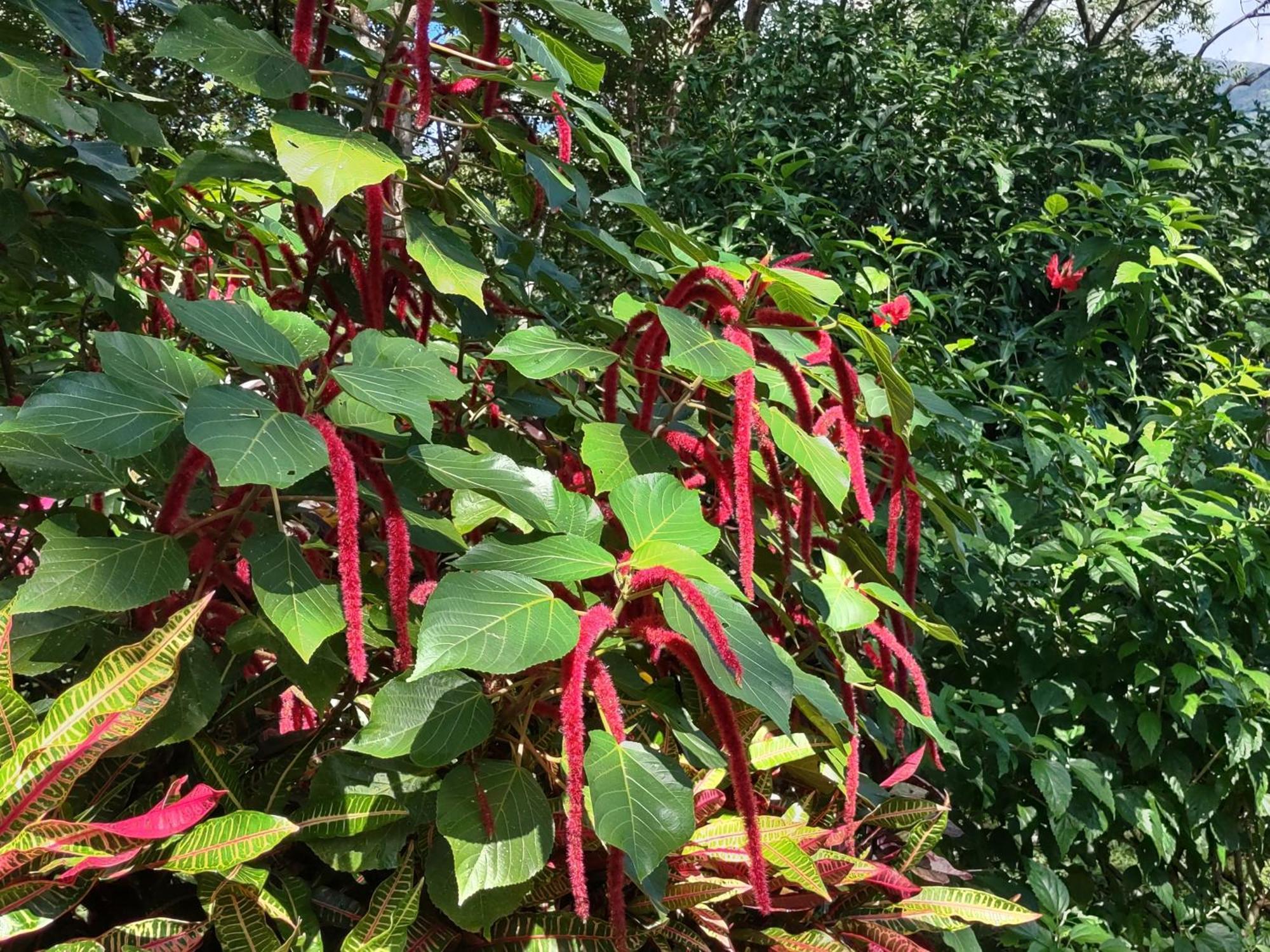 Finca Mystica Mérida Εξωτερικό φωτογραφία