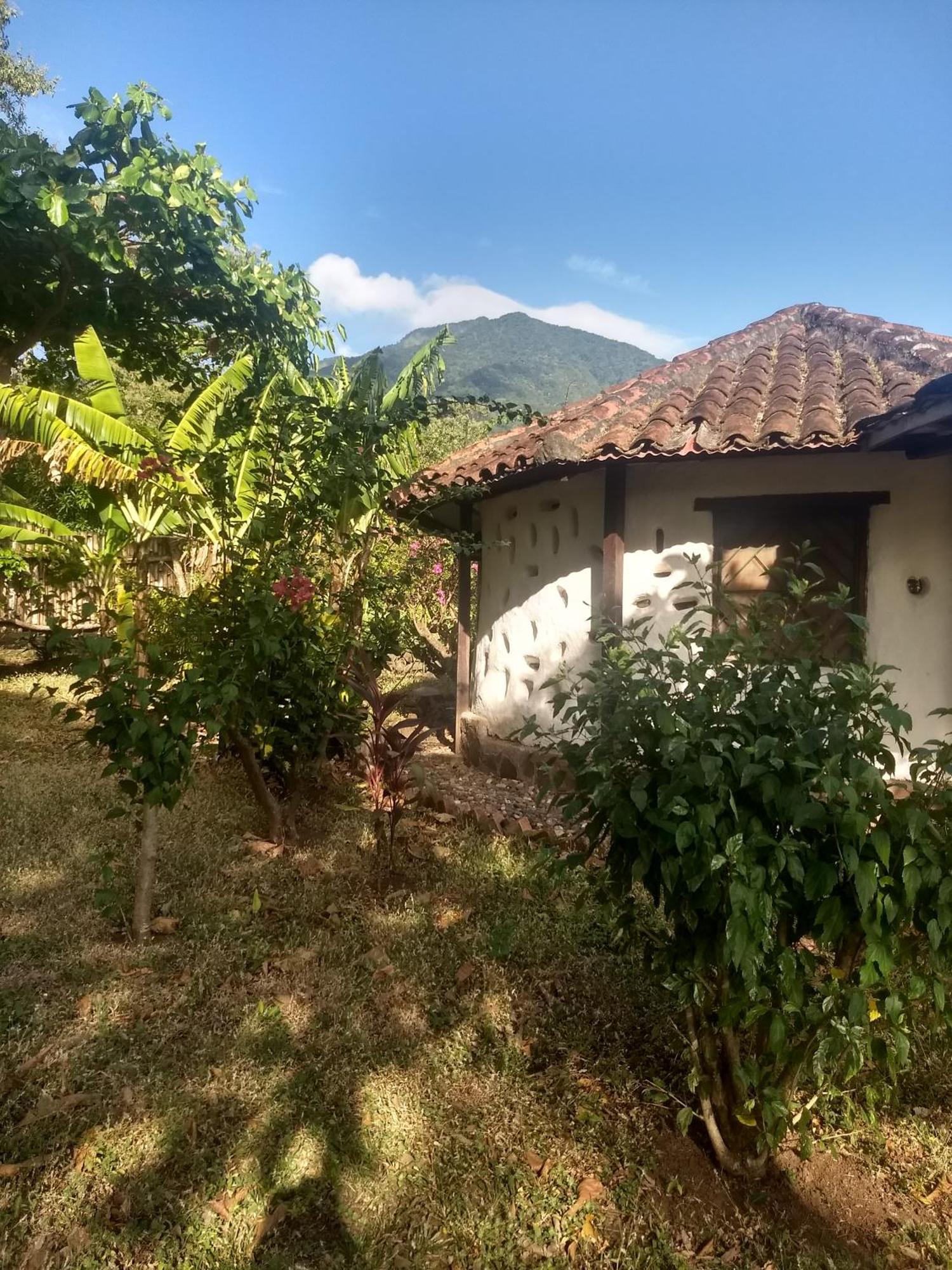 Finca Mystica Mérida Δωμάτιο φωτογραφία
