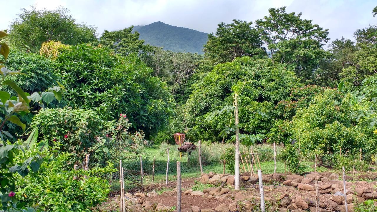 Finca Mystica Mérida Εξωτερικό φωτογραφία