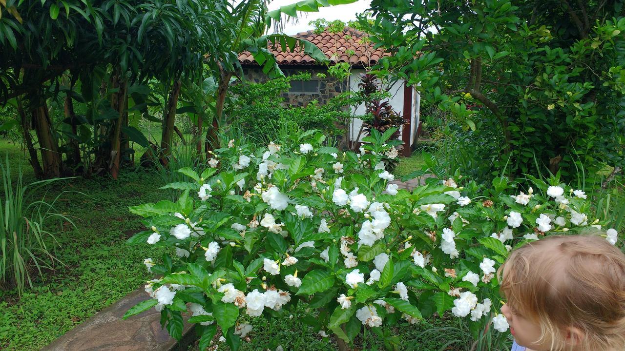Finca Mystica Mérida Εξωτερικό φωτογραφία