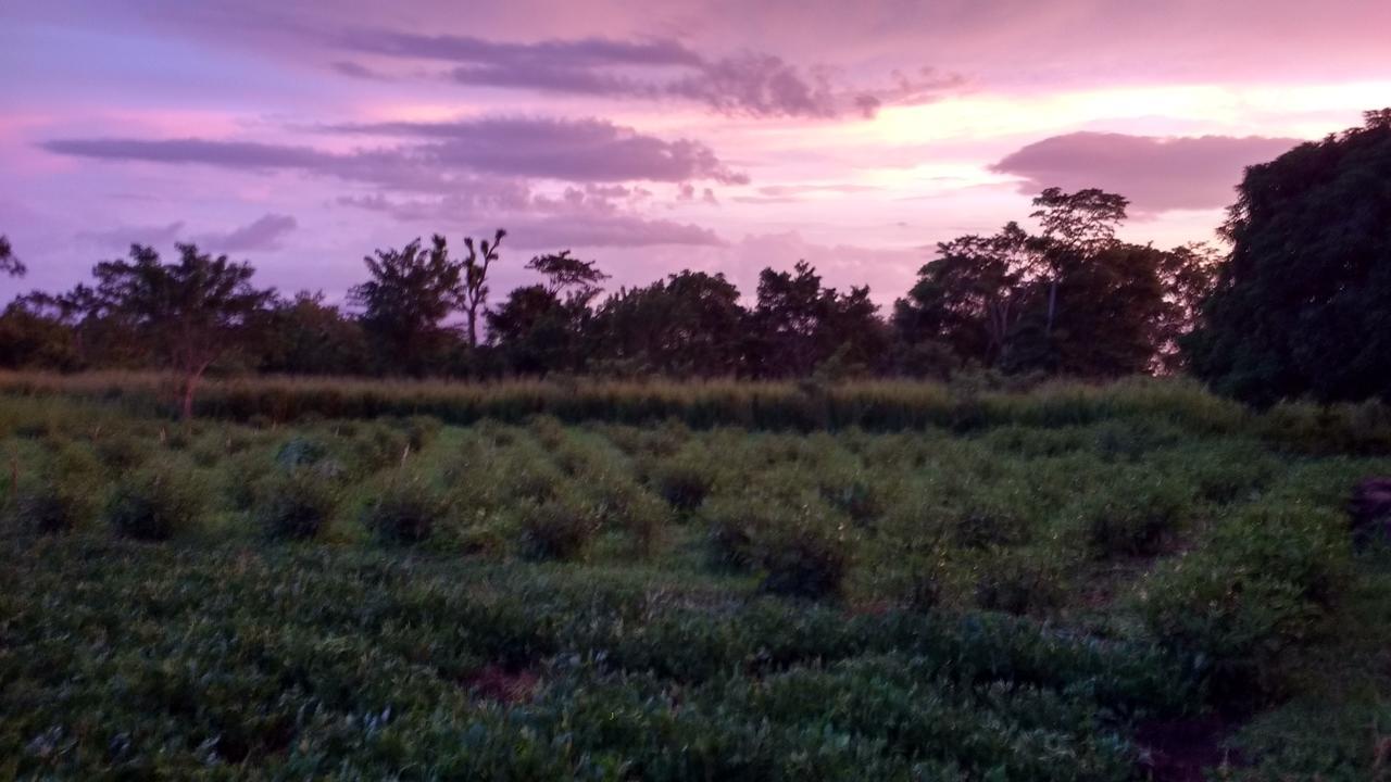 Finca Mystica Mérida Εξωτερικό φωτογραφία